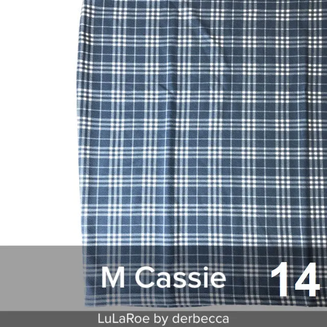 Cassie Pencil Skirt