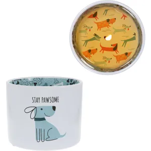Pawsome 8 oz 100% Soy Wax Reveal, Single Wick Candle Scent: Tranquility