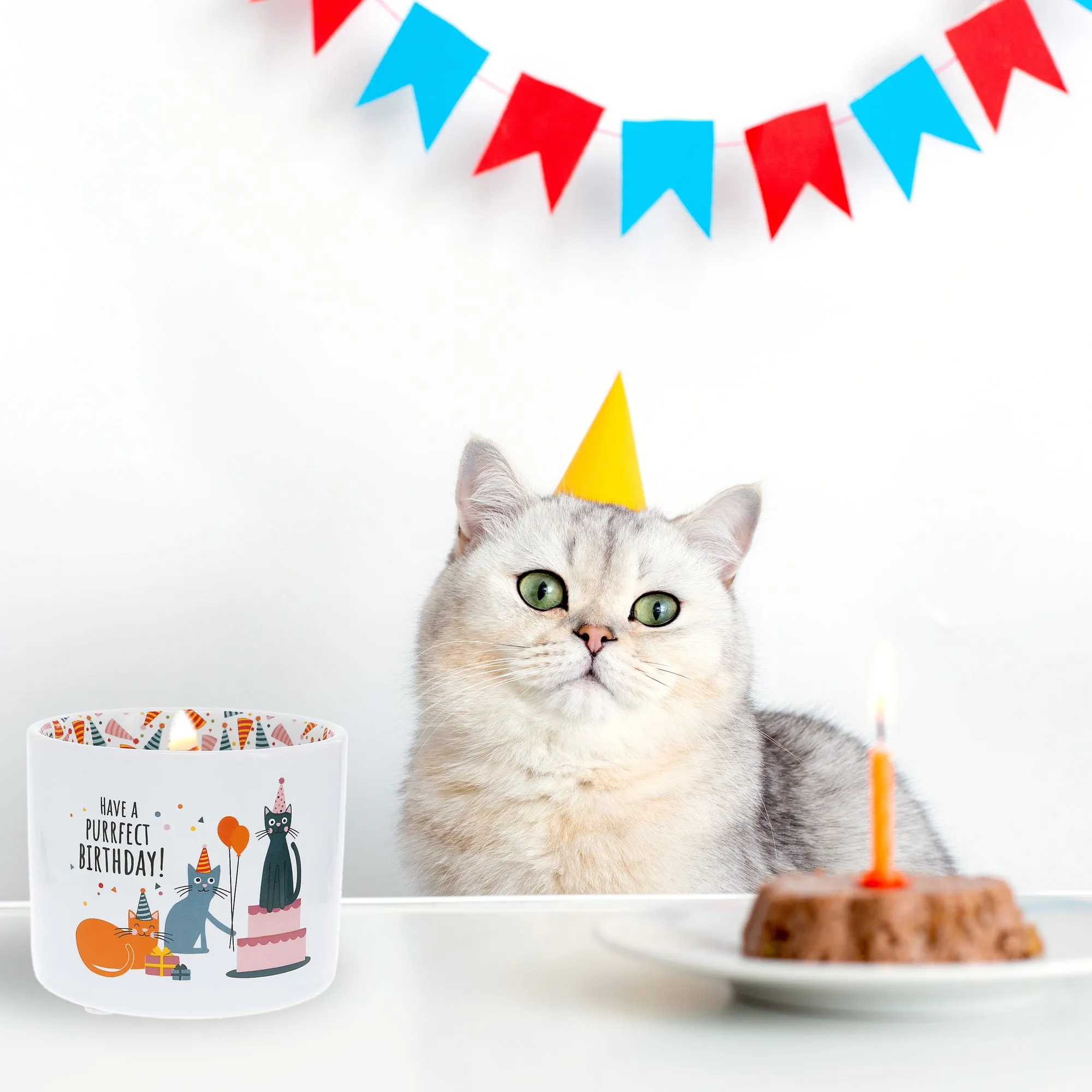Purrfect Birthday 8 oz 100% Soy Wax Reveal, Single Wick Candle Scent: Tranquility