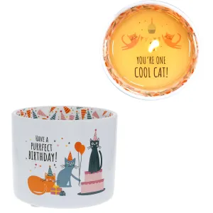 Purrfect Birthday 8 oz 100% Soy Wax Reveal, Single Wick Candle Scent: Tranquility