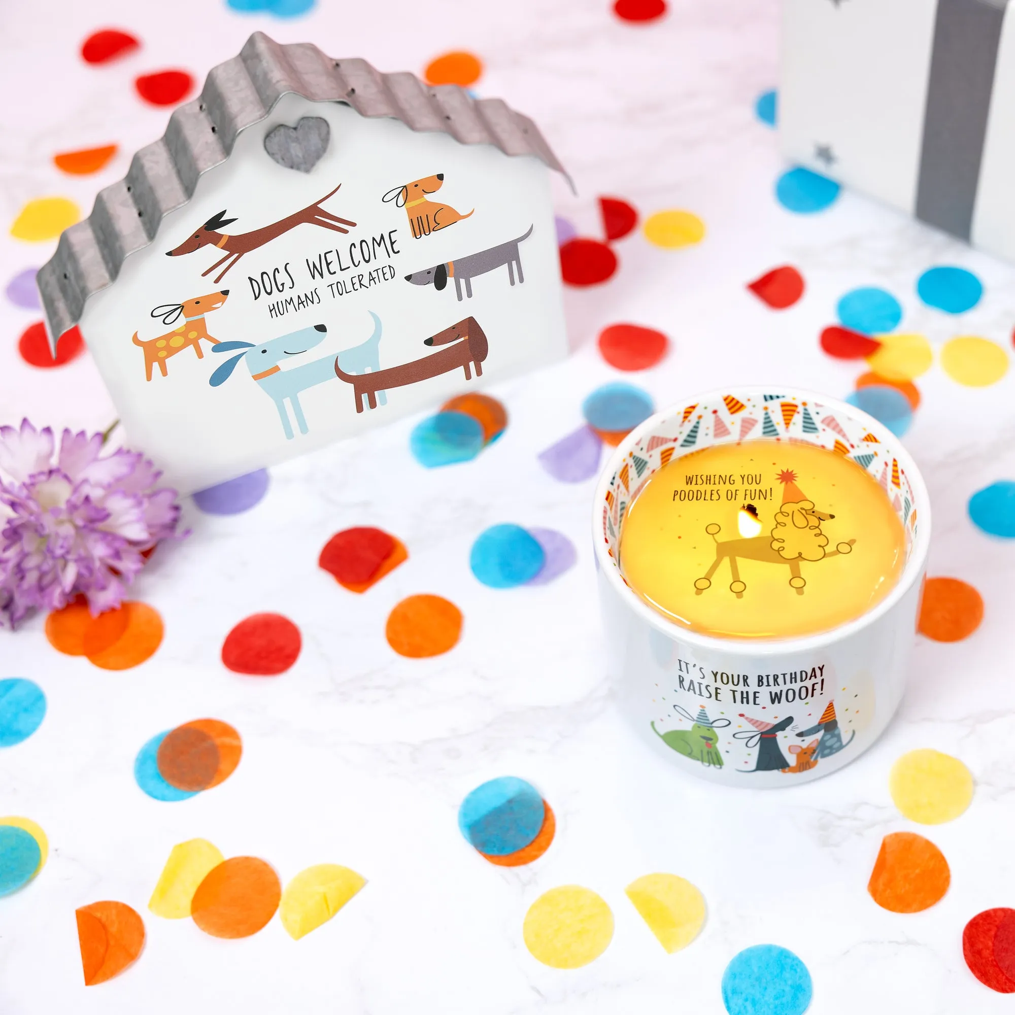 Raise The Woof 8 oz 100% Soy Wax Reveal, Single Wick Candle Scent: Tranquility
